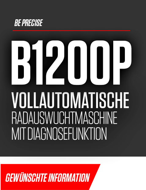 b1200p gewunschte information