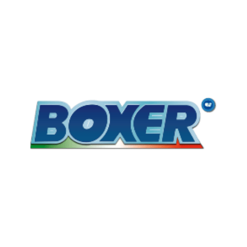 boxer
